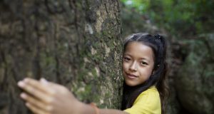 Acciones Urgentes para Enfrentar los Desafíos Ambientales Actuales