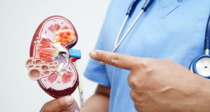 Como cuidar de nuestros riñones