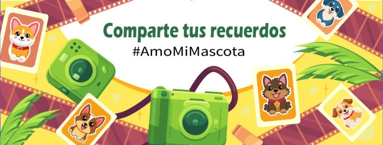 Captura esos momentos únicos y llenos de amor junto a tu mascota