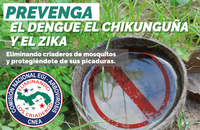 Estrategia de Gestión Integrada (EGI-Anti-Aedes)