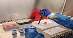 Panamá acelera respuesta, tratamiento y diagnóstico de la tuberculosis (TB)