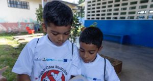 Pequeños Héroes contra el Dengue: Brigadas Caza Mosquitos en Acción