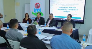 Unidos contra el dengue: Cruzada Nacional convoca a toda la población